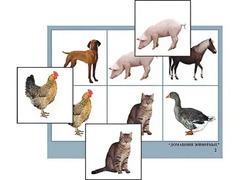 Логопедическое лото "Домашние животные" (4 планшета, 24 карточки, цветное, ламинированное) - fgospostavki.ru - Чита