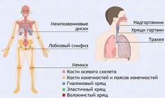 Интерактивные курсы. Биология 9 класс. Базовый. - fgospostavki.ru - Чита