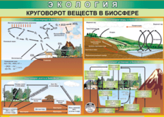 Таблица "Круговорот веществ в биосфере" (100х140 сантиметров, винил) - fgospostavki.ru - Чита