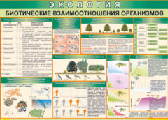 Таблица "Биотические взаимоотношения организмов" (100х140 сантиметров, винил) - fgospostavki.ru - Чита