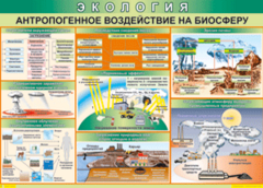 Таблица "Антропогенное воздействие на биосферу" (100х140 сантиметров, винил) - fgospostavki.ru - Чита