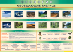 Таблица "Экология. Обобщающие таблицы" (100х140 сантиметров, винил) - fgospostavki.ru - Чита