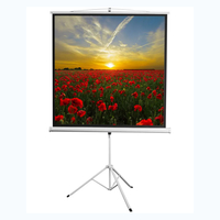 Экран на штативе DSKD-1105  - fgospostavki.ru - Чита