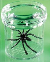 Баночка для изучения насекомых GeoSafari - fgospostavki.ru - Чита