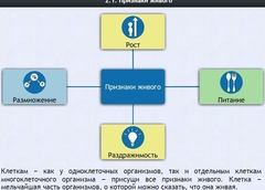 Интерактивные курсы. Биология 5 класс. Базовый - fgospostavki.ru - Чита