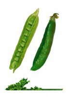 Комплект карточек "Запоминай, играй, считай" -  Овощи - fgospostavki.ru - Чита