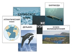 Модель-аппликация "Океаны. Знакомство" (ламинированная) - fgospostavki.ru - Чита