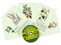 Интерактивный наглядный комплекс "Гербарий "Для начальной школы" - fgospostavki.ru - Чита