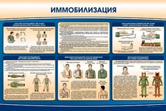 Стенд "Иммобилизация" - fgospostavki.ru - Чита