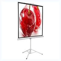 Экран на штативе DSKD-1106 - fgospostavki.ru - Чита