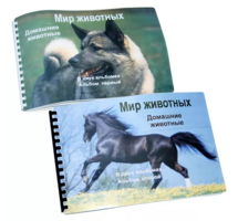 Пособие для слабовидящих - Домашние животные - fgospostavki.ru - Чита
