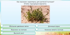 Интерактивные курсы. Окружающий мир 3 класс . Базовый. - fgospostavki.ru - Чита