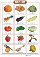 Таблицы "Окружающий мир" (формат А2, ламинированные, 10 таблиц) - fgospostavki.ru - Чита