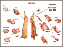 Таблица "Правила разделки мясных туш. Свинина" (100х140 сантиметров. винил) - fgospostavki.ru - Чита