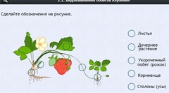 Интерактивные курсы. Биология 7 класс. Расширенный. - fgospostavki.ru - Чита