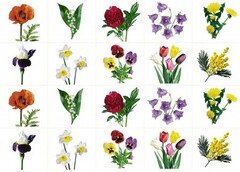 Комплект карточек "Запоминай, играй, считай" - Цветы - fgospostavki.ru - Чита