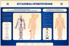 Электрифицированный стенд-тренажер "Остановка кровотечения" - fgospostavki.ru - Чита