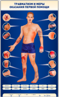 Электрифицированный стенд-тренажер "Травматизм и меры оказания первой помощи" - fgospostavki.ru - Чита