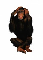 Комплект карточек "Запоминай, играй, считай" - Дикие животные - fgospostavki.ru - Чита