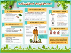 Стенд "Клещевой энцефалит" - fgospostavki.ru - Чита