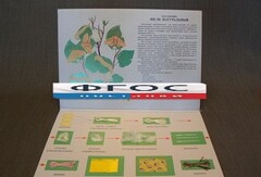 Коллекция "Шелк для начальной школы" - fgospostavki.ru - Чита