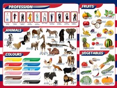 Стенд "Цвета, животные, профессии, фрукты, овощи" - fgospostavki.ru - Чита