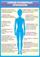 Стенд "Снятие мерок" Вариант 2 - fgospostavki.ru - Чита