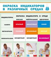 Стенд "Окраска индикаторов в различных средах" - fgospostavki.ru - Чита