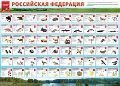 Стенд "Красная книга РФ" - fgospostavki.ru - Чита