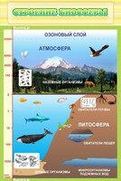 Стенд "Строение биосферы" - fgospostavki.ru - Чита
