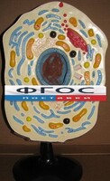Модель "Клетка животного" - fgospostavki.ru - Чита
