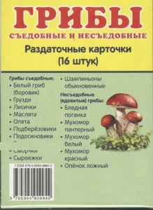 Раздаточные карточки "Грибы съедобные и не съедобные" - fgospostavki.ru - Чита