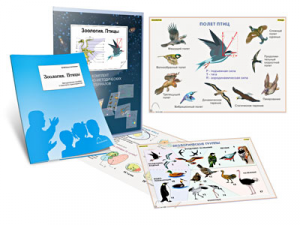 Комплект кодотранспарантов "Зоология. Птицы" - fgospostavki.ru - Чита