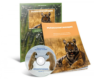 Электронное наглядное пособие «Млекопитающие» - fgospostavki.ru - Чита