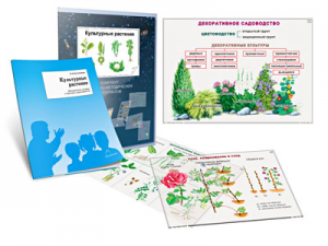 Комплект кодотранспарантов "Культурные растения" - fgospostavki.ru - Чита