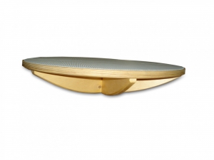 Балансир детский (круг) - fgospostavki.ru - Чита