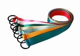 Лента гимнастическая на кольце (1 метр) - fgospostavki.ru - Чита