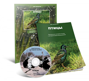 Электронное наглядное пособие «Птицы» - fgospostavki.ru - Чита