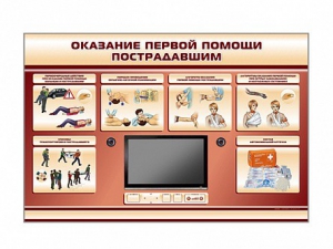 Многофункциональный интерактивный стенд-тренажер "Оказание первой помощи пострадавшим" для учащихся общеобразовательных учреждений - fgospostavki.ru - Чита