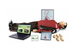 "Максим III-01" тренажер сердечно-легочной и мозговой реанимации - fgospostavki.ru - Чита