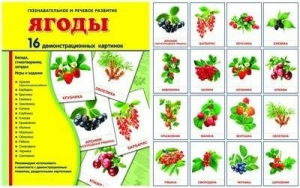 Демонстрационные карточки "Ягоды" - fgospostavki.ru - Чита