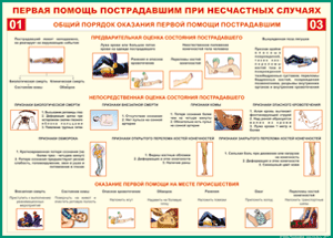 Таблица "Общий порядок оказания первой помощи пострадавшим" (100х140 сантиметров, винил) - fgospostavki.ru - Чита
