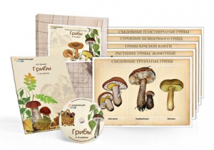 Комбинированное наглядное пособие  «Грибы» - fgospostavki.ru - Чита