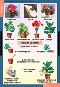 Комплект таблиц. Окружающий мир 1 класс. - fgospostavki.ru - Чита