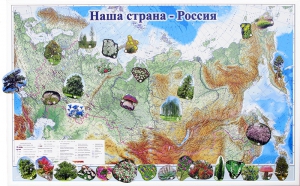 Магнитные карточки "Растения" - fgospostavki.ru - Чита