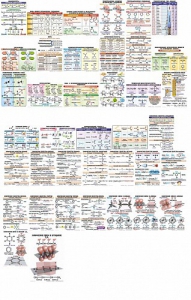 Комплект таблиц "Органическая химия" (39 штук, ламинированные) - fgospostavki.ru - Чита