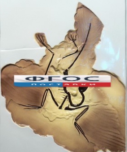 Модель барельефная "Археоптерикс" - fgospostavki.ru - Чита