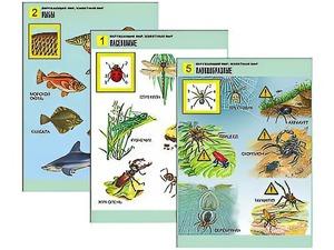 Комплект таблиц "Окружающий мир. Животный мир" (8 таблиц, А1, ламинированные) - fgospostavki.ru - Чита