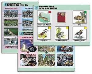 Комплект таблиц "Окружающий мир. Экология" (6 таблиц, А1, ламинированные) - fgospostavki.ru - Чита