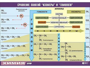 Таблица демонстрационная "Сравнение понятий изомер и гомолог" (винил 70x100) - fgospostavki.ru - Чита